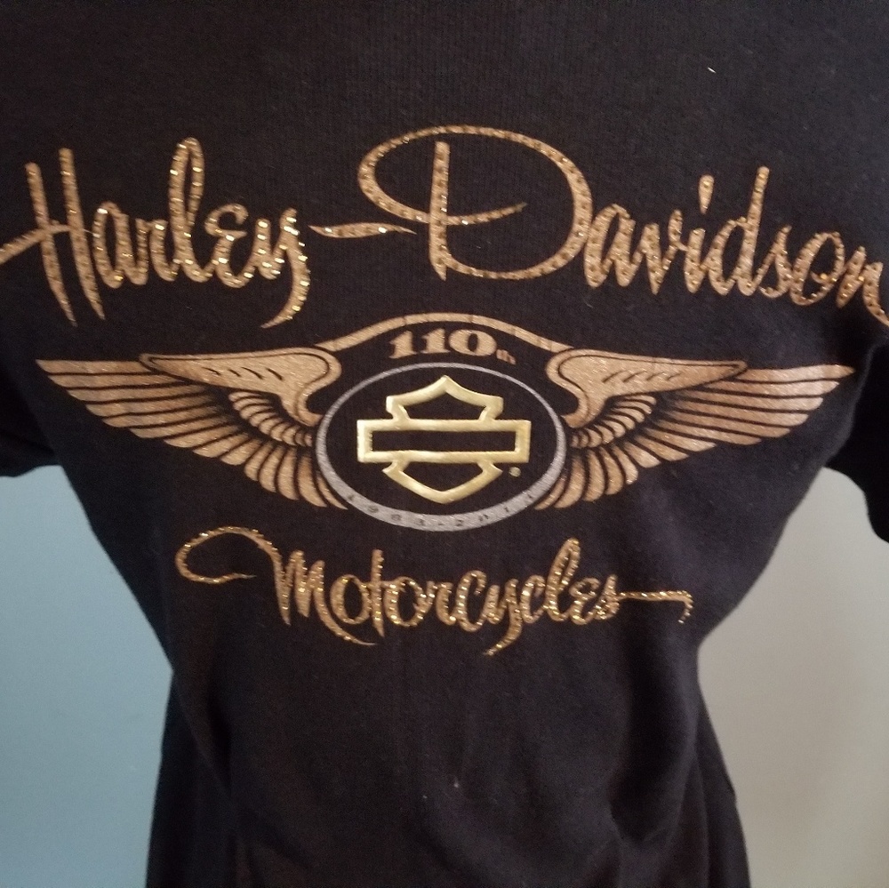 Harley Davidson 110 year anniversary tee shirt Xl